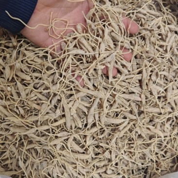 野麦冬