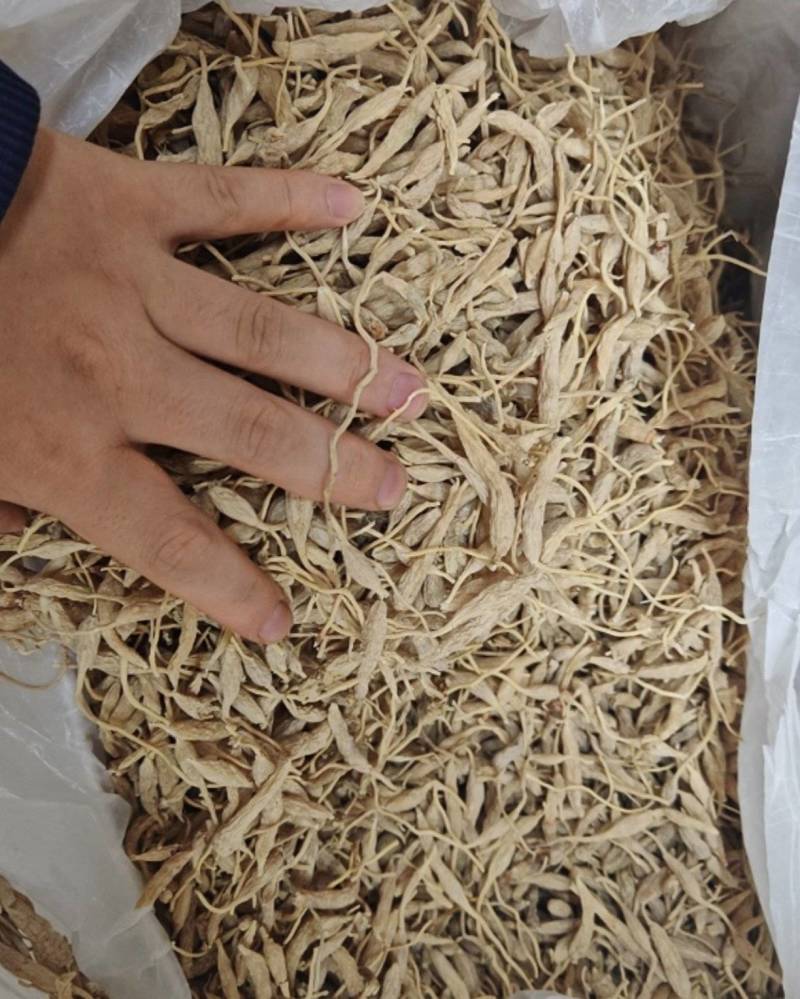 野麦冬