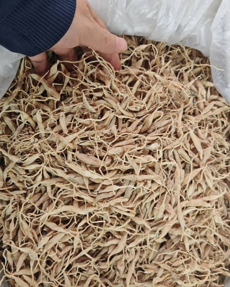 野麦冬