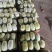 精品金冠大量有货，价格便宜，质量有保证