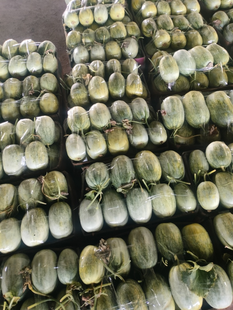 精品金冠大量有货，价格便宜，质量有保证