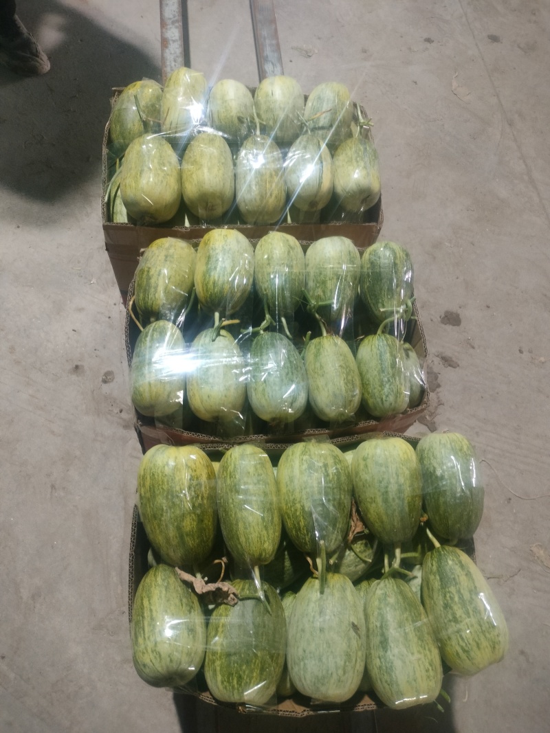精品金冠大量有货，价格便宜，质量有保证