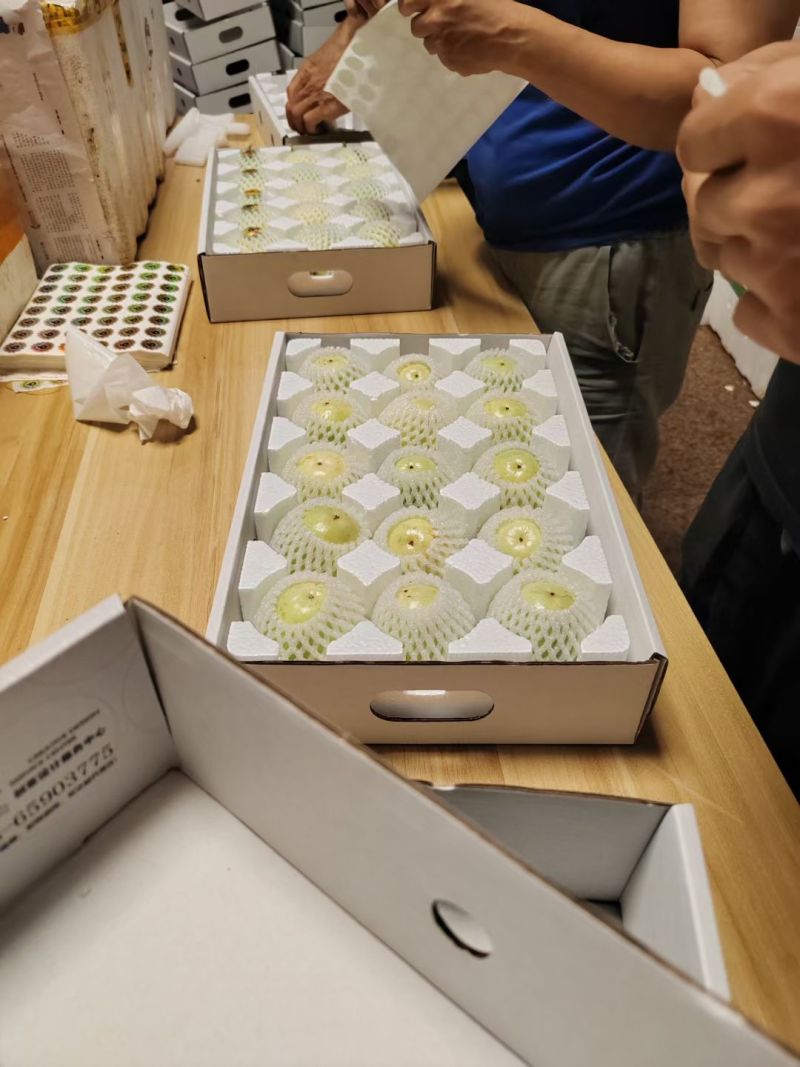 现货百香果纯甜果地直采发货