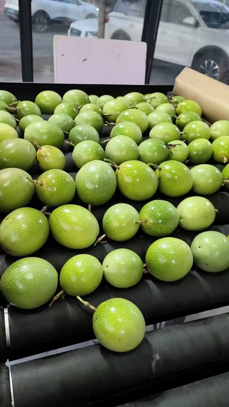 现货百香果纯甜果地直采发货