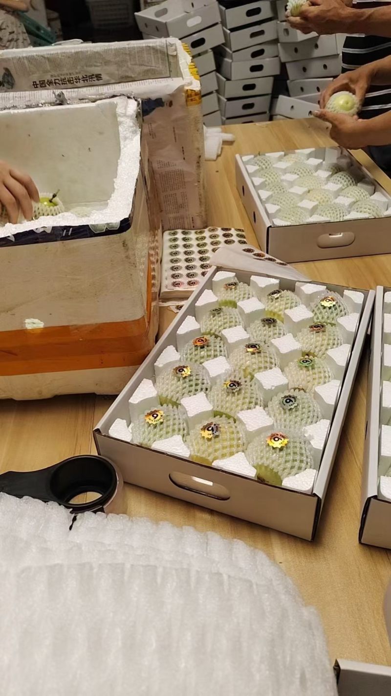 现货百香果纯甜果地直采发货