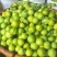 贵州青脆脱骨李电商精品货支持各大电商平台（一件代发）