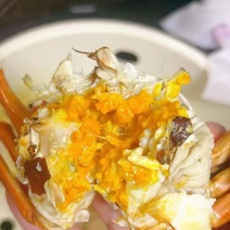 江苏精品六月黄