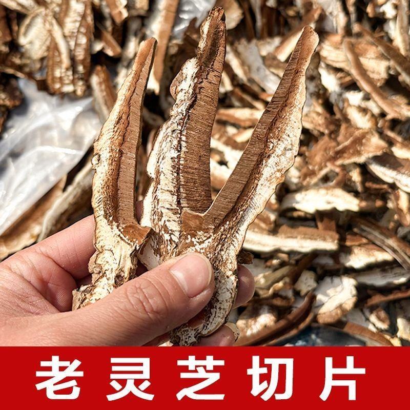 热销灵芝片新货老灵芝切片赤芝大片灵芝切片