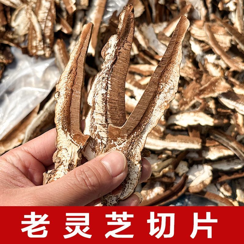热销灵芝片新货老灵芝切片赤芝大片灵芝切片