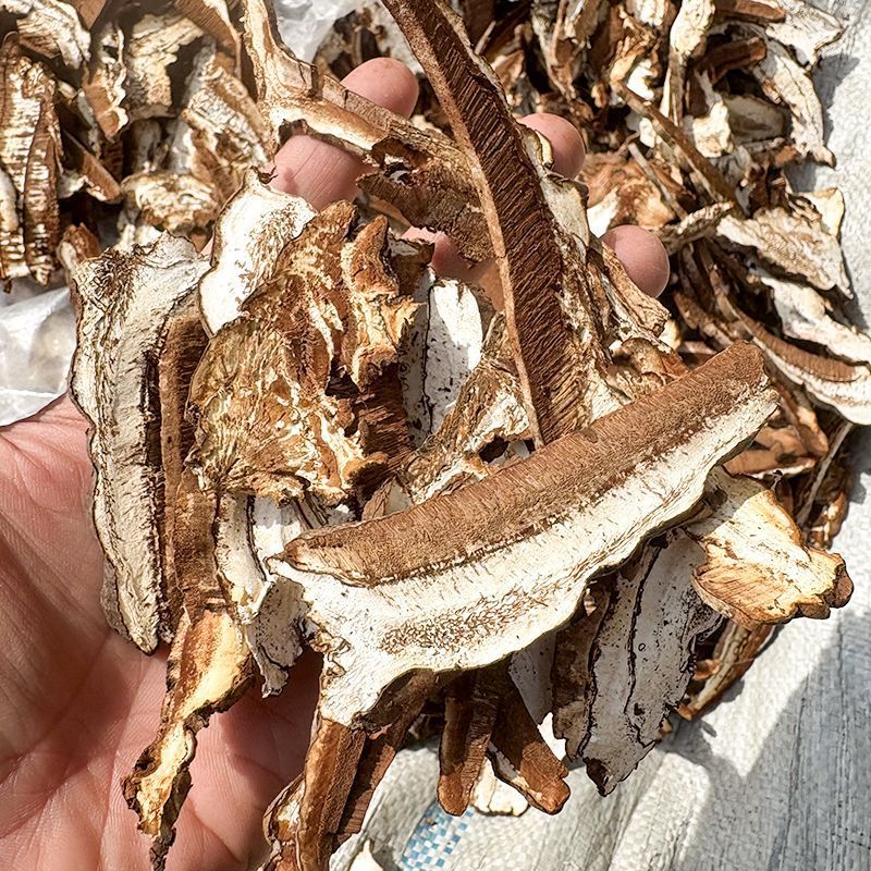 热销灵芝片新货老灵芝切片赤芝大片灵芝切片