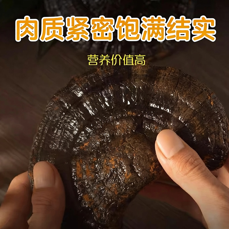 正宗黑灵芝泰山黑灵芝整朵干货正宗灵芝煲汤泡酒黑灵芝