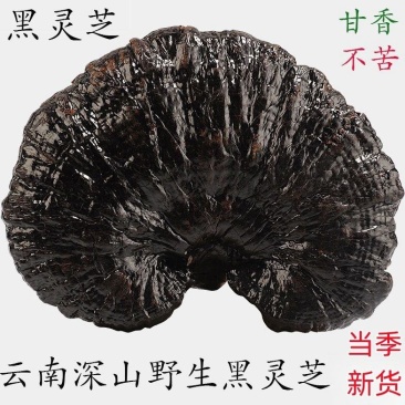 ***云南大深山野生特级黑灵芝整个切片干货灵芝煮汤泡酒泡