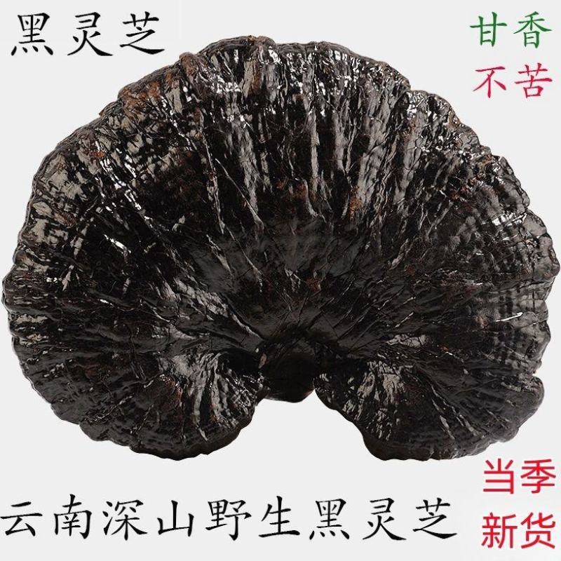 ***云南大深山野生特级黑灵芝整个切片干货灵芝煮汤泡酒泡