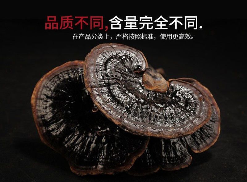 ***云南大深山野生特级黑灵芝整个切片干货灵芝煮汤泡酒泡