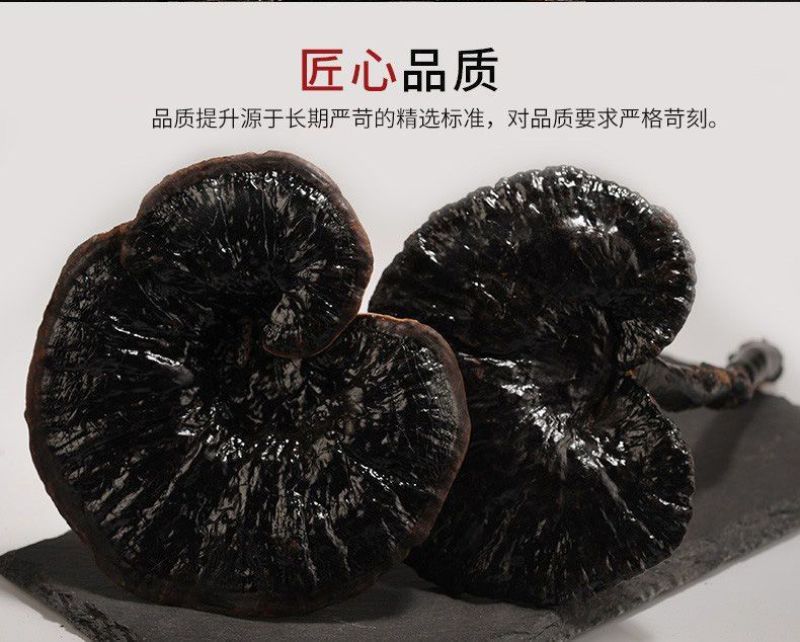 ***云南大深山野生特级黑灵芝整个切片干货灵芝煮汤泡酒泡