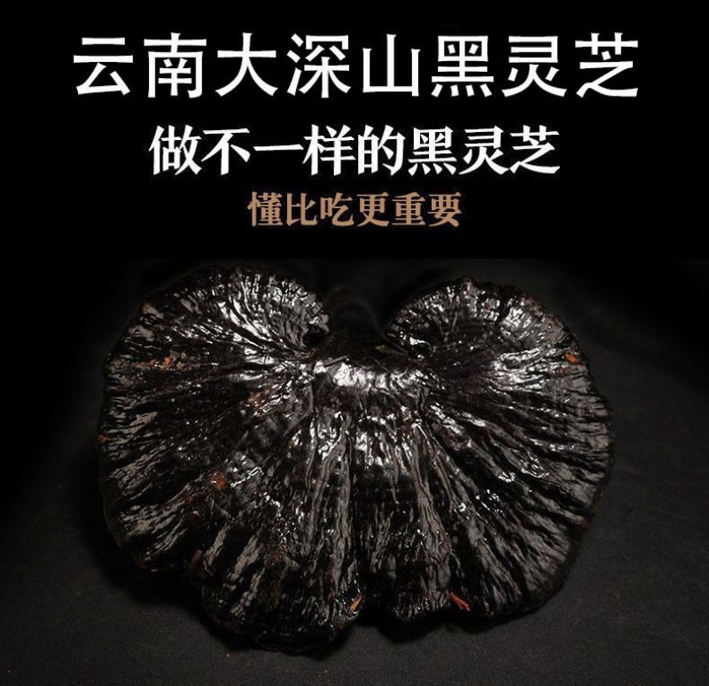 ***云南大深山野生特级黑灵芝整个切片干货灵芝煮汤泡酒泡