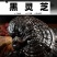 黑灵芝东北正品半野生赤灵芝平盖黑芝干货整朵泡水泡酒炖汤
