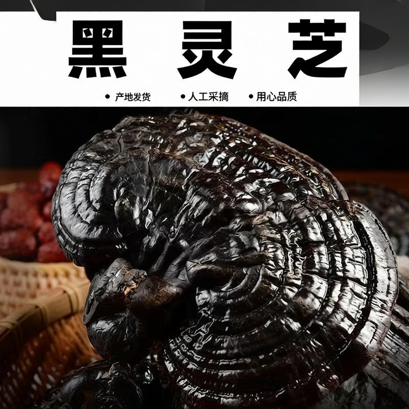 黑灵芝东北正品半野生赤灵芝平盖黑芝干货整朵泡水泡酒炖汤