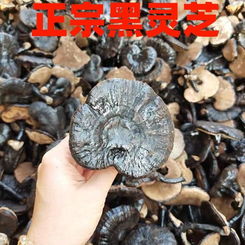 正宗黑灵芝***中药材黑灵芝干货灵芝泡酒煲汤非野生长白山
