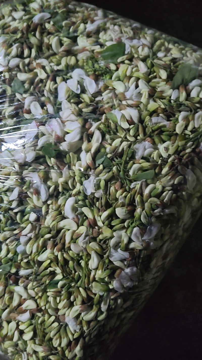 现货精品洋槐花，日产3万斤，产地直发加冰，保证质量