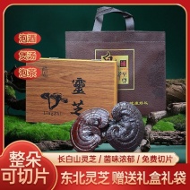 灵芝礼盒赤灵芝长辈煲汤泡酒滋补紫灵芝正宗节日送礼