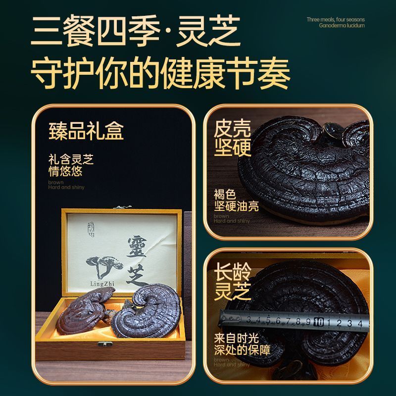 灵芝礼盒赤灵芝长辈煲汤泡酒滋补紫灵芝正宗节日送礼
