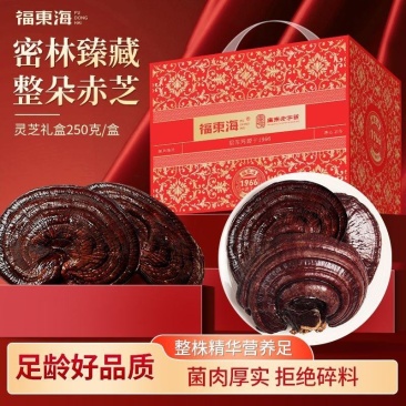 福东海灵芝250g整朵灵芝片磨灵芝粉煲汤泡酒用料灵芝礼盒