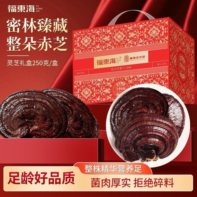 福东海灵芝250g整朵灵芝片磨灵芝粉煲汤泡酒用料灵芝礼盒