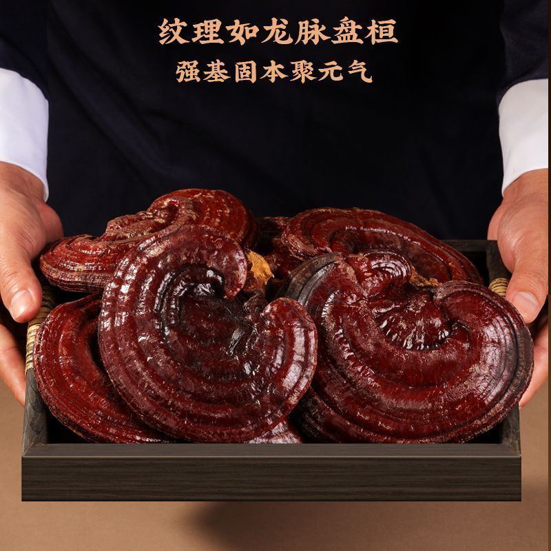 福东海灵芝250g整朵灵芝片磨灵芝粉煲汤泡酒用料灵芝礼盒