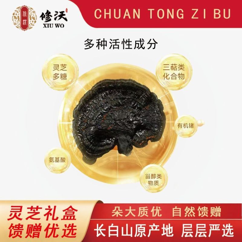 灵芝礼盒赤灵芝长辈煲汤泡酒滋补紫灵芝正宗节日送礼过年春节