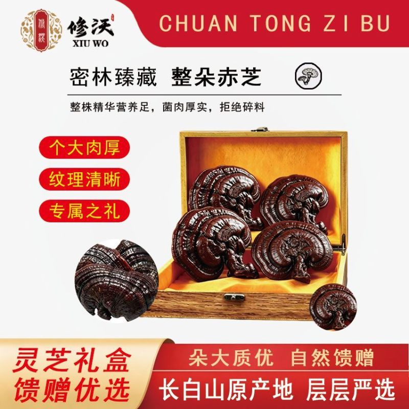 灵芝礼盒赤灵芝长辈煲汤泡酒滋补紫灵芝正宗节日送礼过年春节