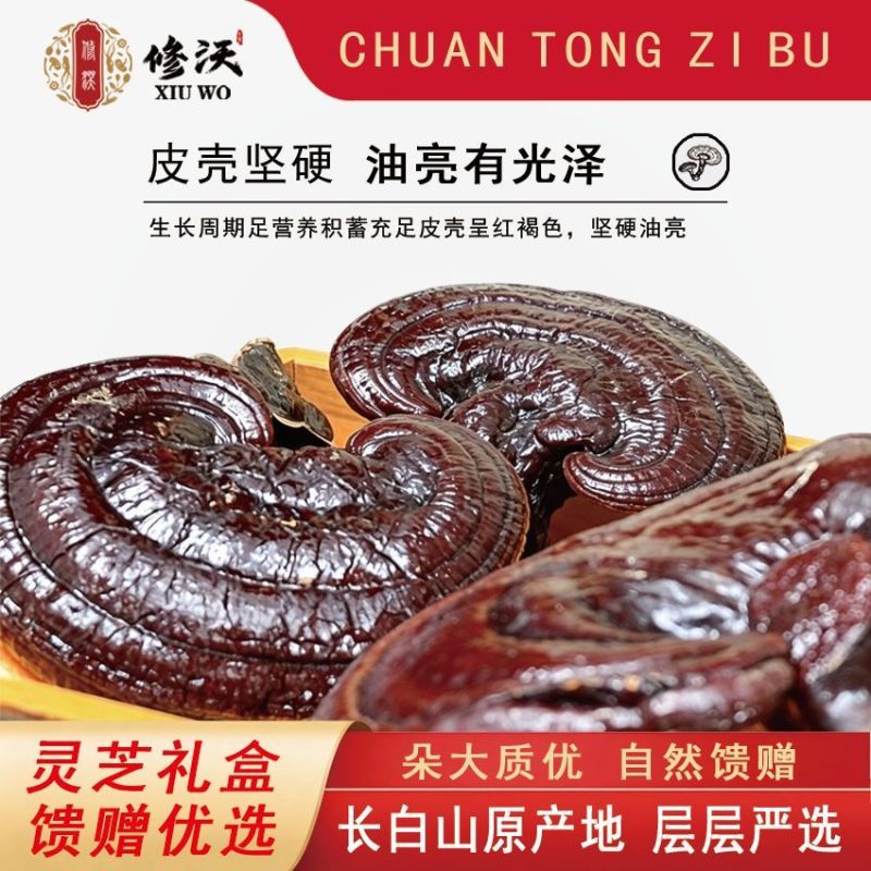 灵芝礼盒赤灵芝长辈煲汤泡酒滋补紫灵芝正宗节日送礼过年春节