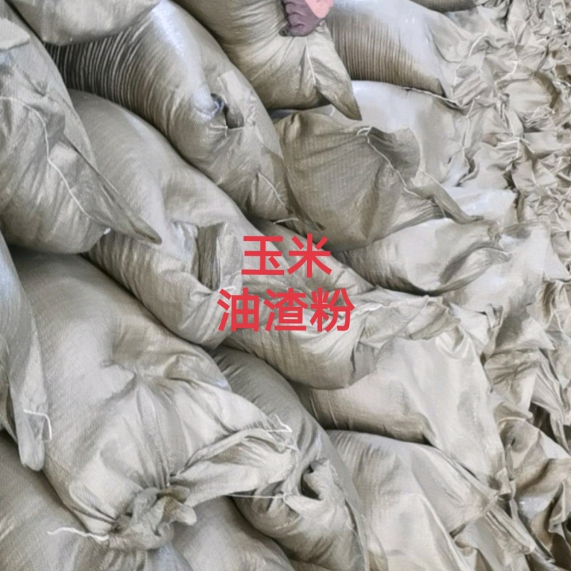 玉米油渣粉多年实力牛商老店全年足量饲料原料河北发货