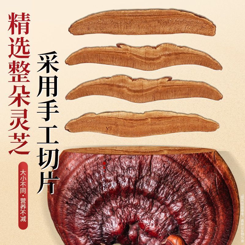 【灵芝礼盒装】南京同仁堂六和乾坤整朵切片泡茶泡水泡酒煲汤