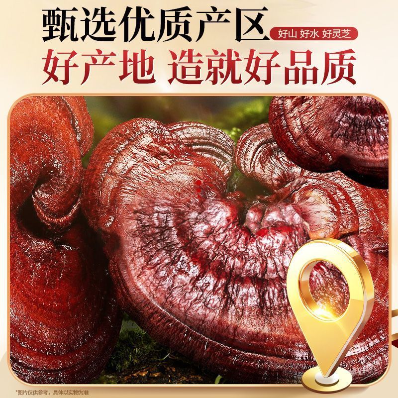 【灵芝礼盒装】南京同仁堂六和乾坤整朵切片泡茶泡水泡酒煲汤