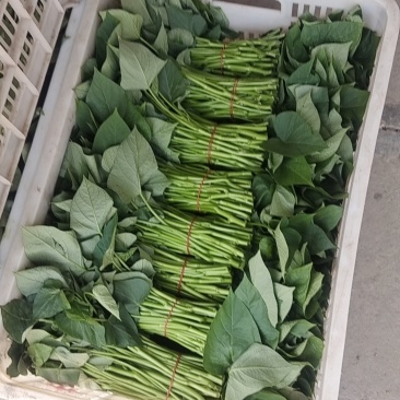 精品上市