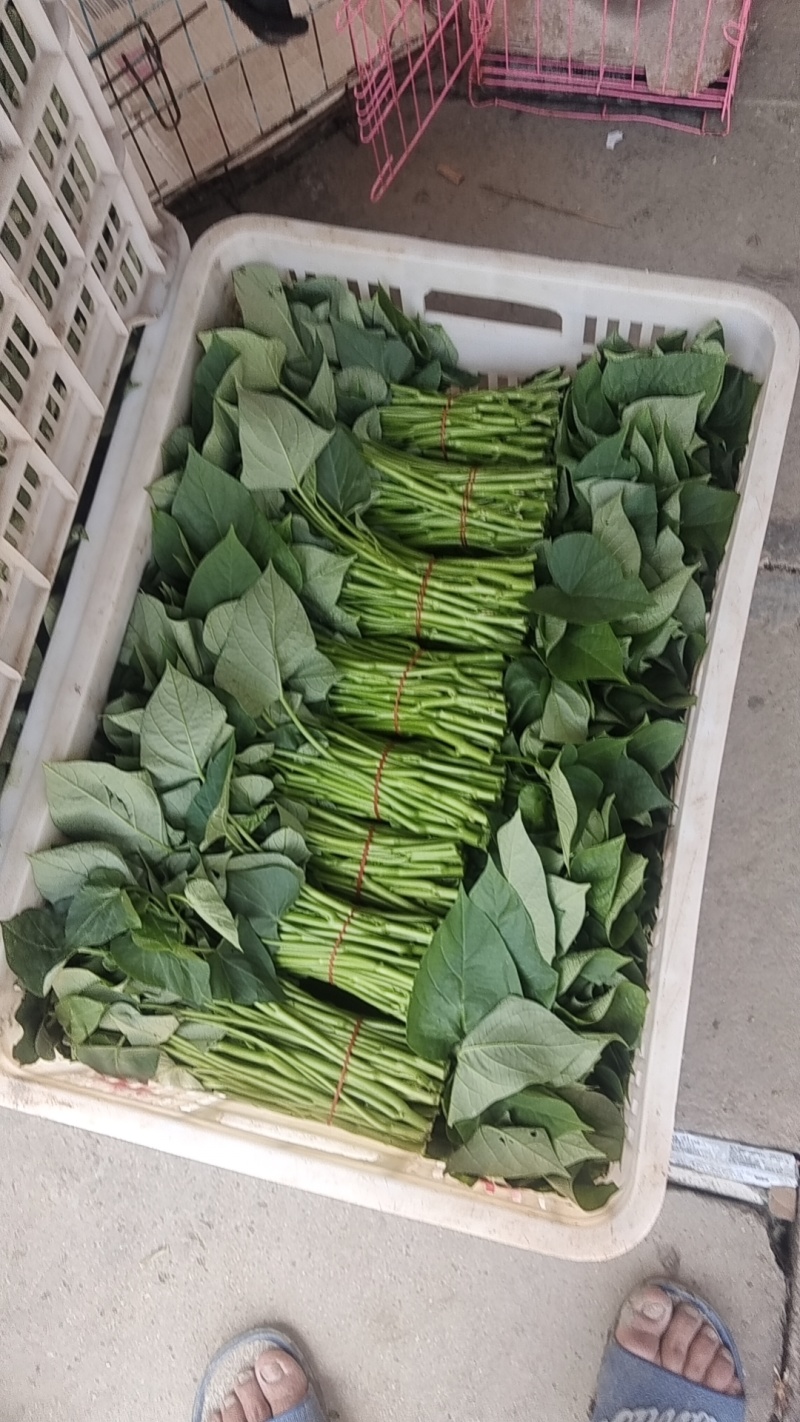 精品上市