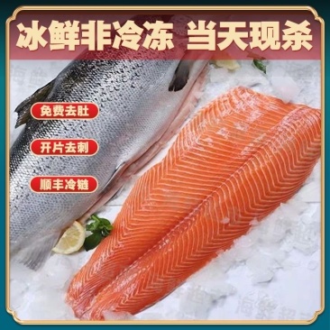 国产精品三文鱼鱼柳支持定制规格，源头工厂