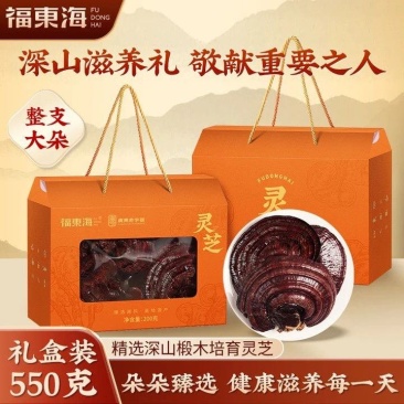 520礼物福东海赤灵芝550g整朵滋补品正品送长辈送礼大