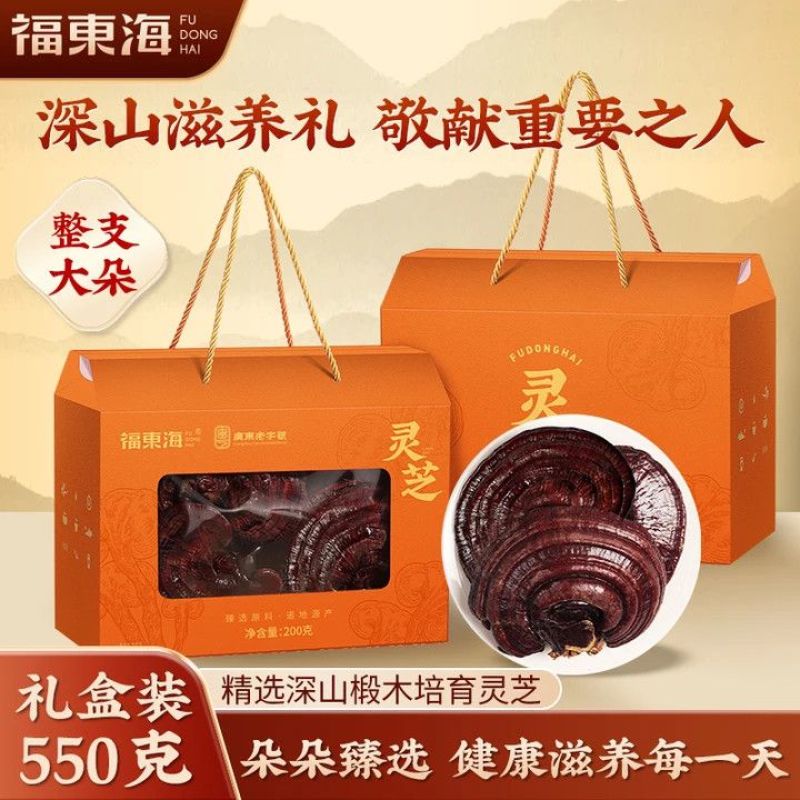 520礼物福东海赤灵芝550g整朵滋补品正品送长辈送礼大
