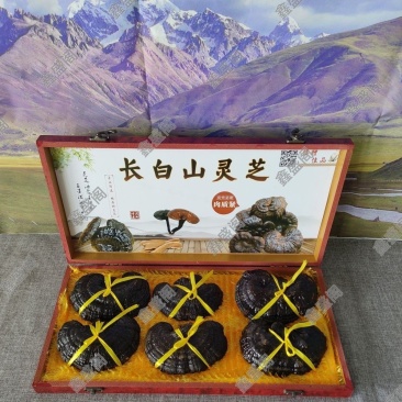 长白山大朵灵芝礼盒装干货黑灵芝节日礼物补品送长辈客户