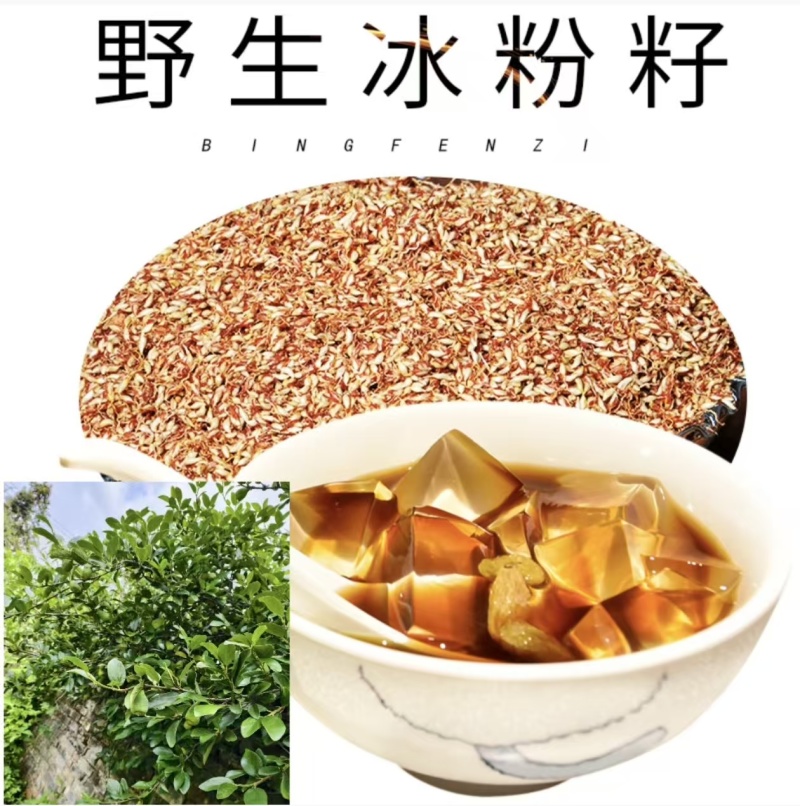 凉粉子