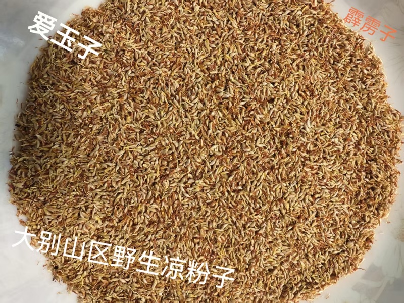 凉粉子