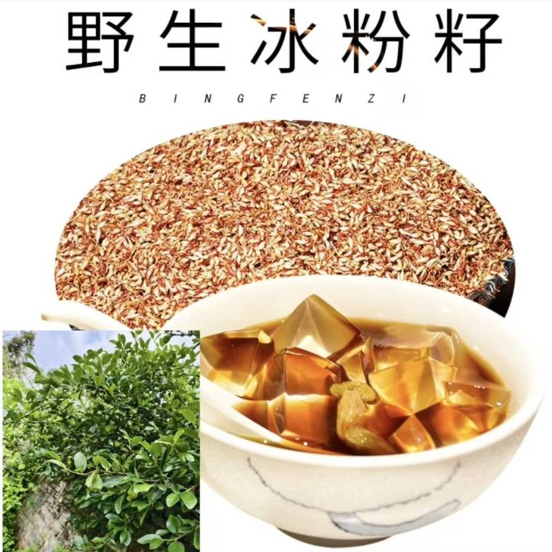 凉粉子