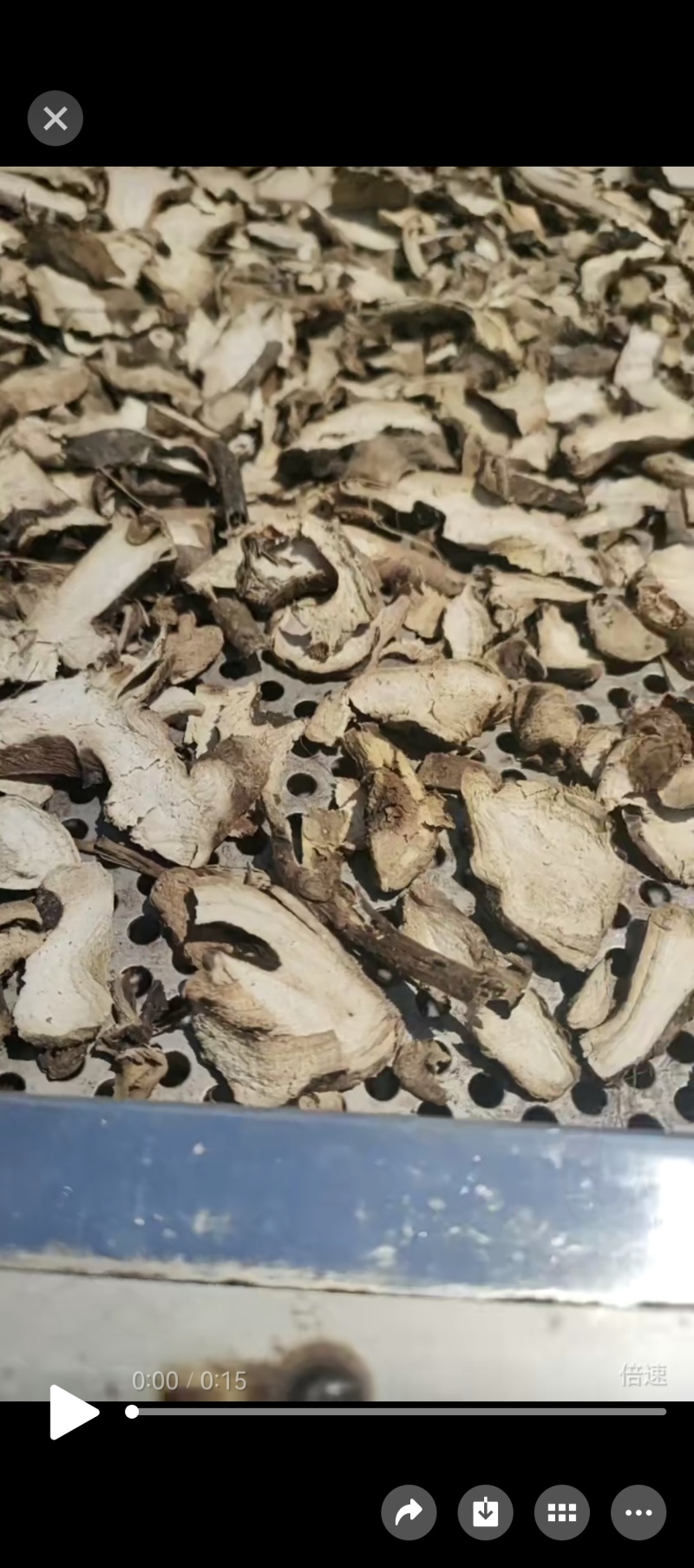 水洗生切狗头片，熟狗头片，次片