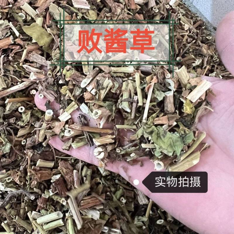 败酱草中药材败酱草中药材正品无硫熏败酱草