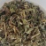 败酱草中药材败酱草中药材正品无硫熏败酱草