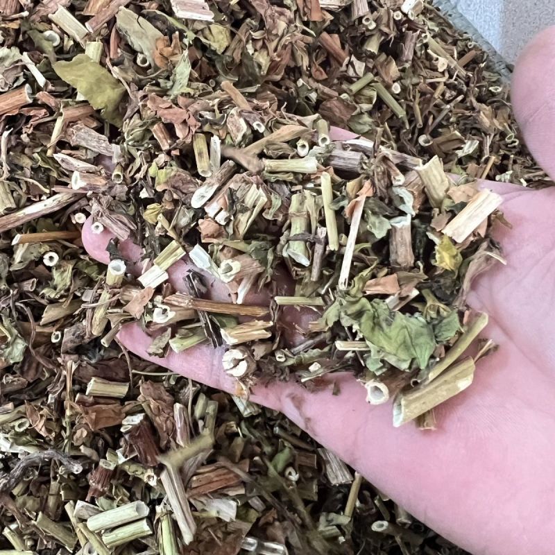 败酱草中药材败酱草中药材正品无硫熏败酱草