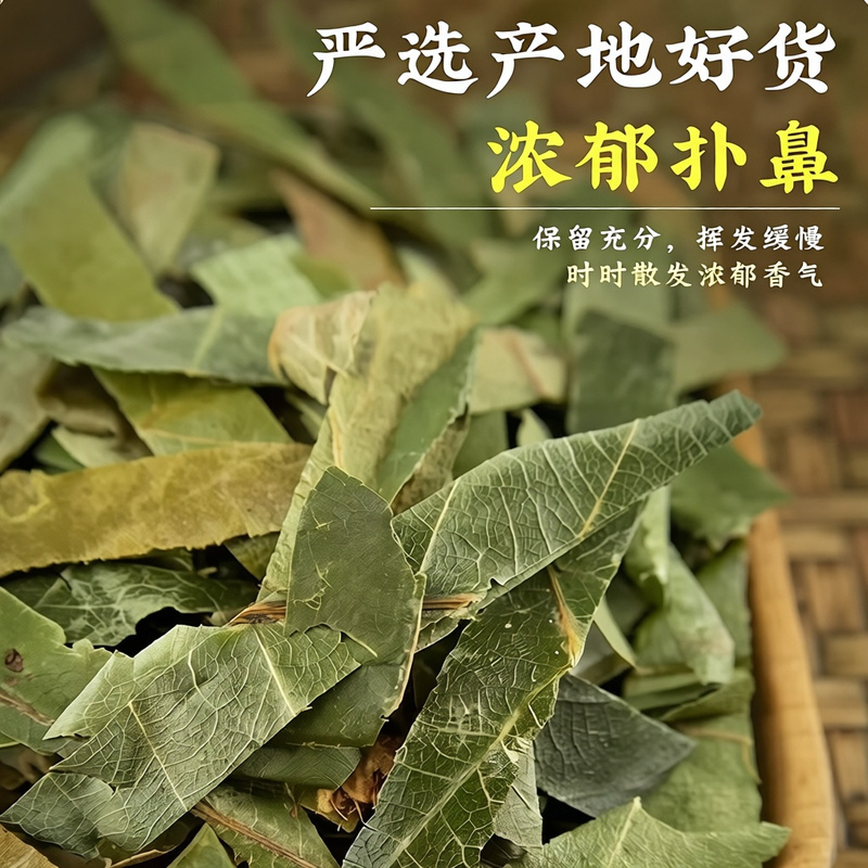 枇杷叶中药材正品枇杷叶干净无硫正品中药材