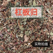 杠板归中药材正品中药材杠板归干净无硫品质保证